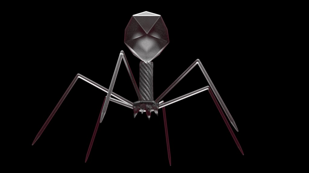T4 Bacteriophage preview image 1